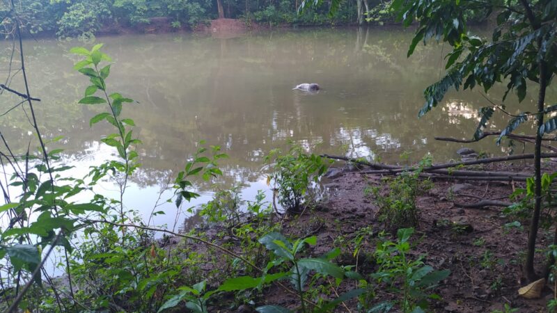 Encuentran hombre muerto con signos de violencia dentro de una laguna en finca del senador Santiago Zorrilla en Hato Mayor