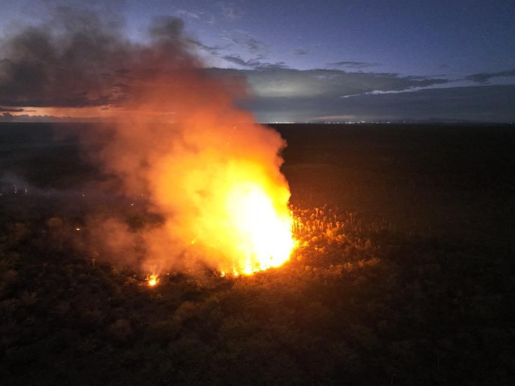 Incendio forestal afecta áreas cercanas a la Laguna Hoyo Claro en Punta Cana