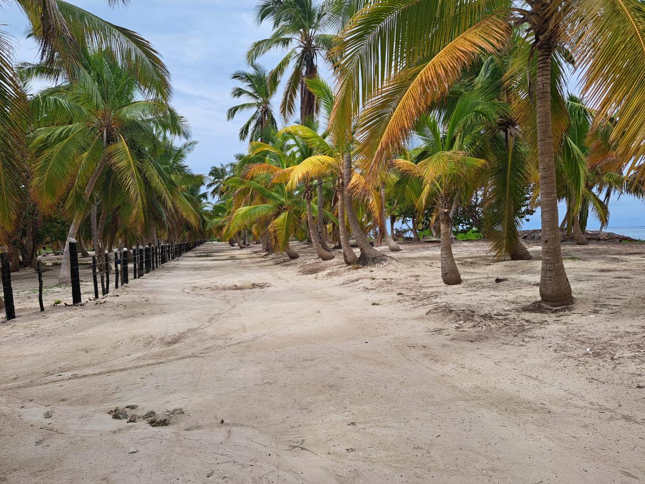 Autoridades resuelven “grave” violación al libre acceso público a playa Cabeza de Toro