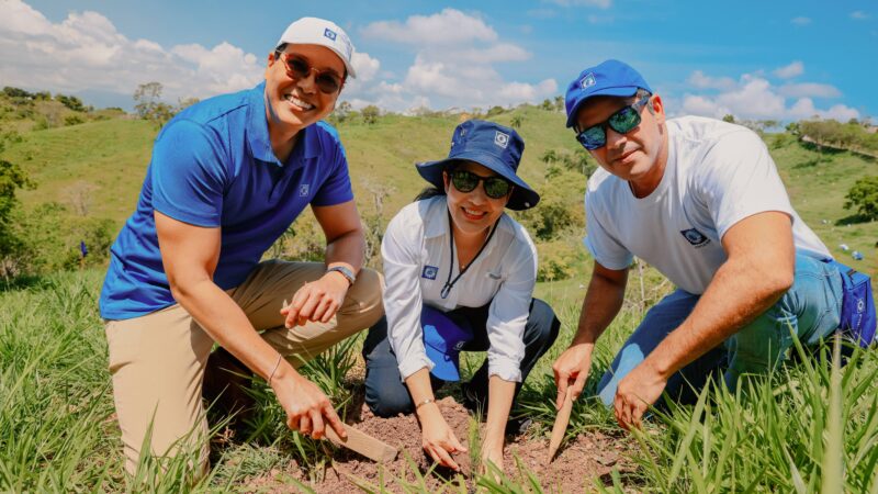 Voluntarios de Grupo Popular siembran 5,000 plantas en Plan Sierra